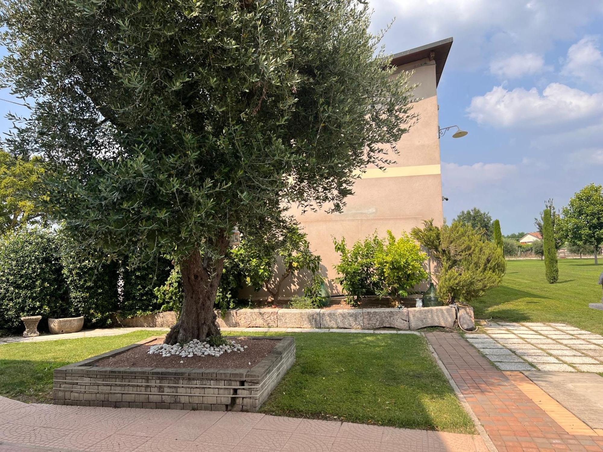 Appartamento Casa Vacanze Corte Ara Decima Sona Esterno foto
